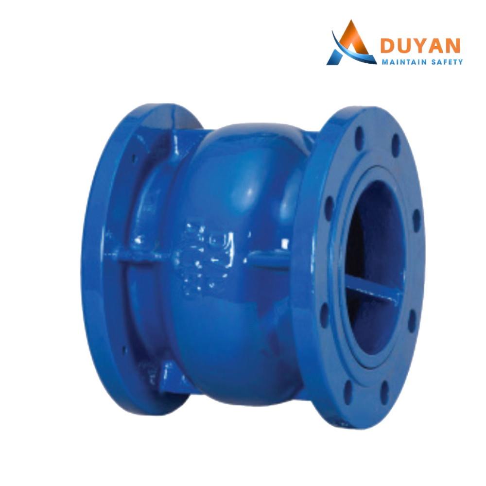 Van 1 chiều lò xo DN50 ARV ASC600 01